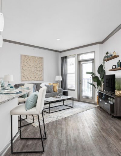 Living Room With Furniture